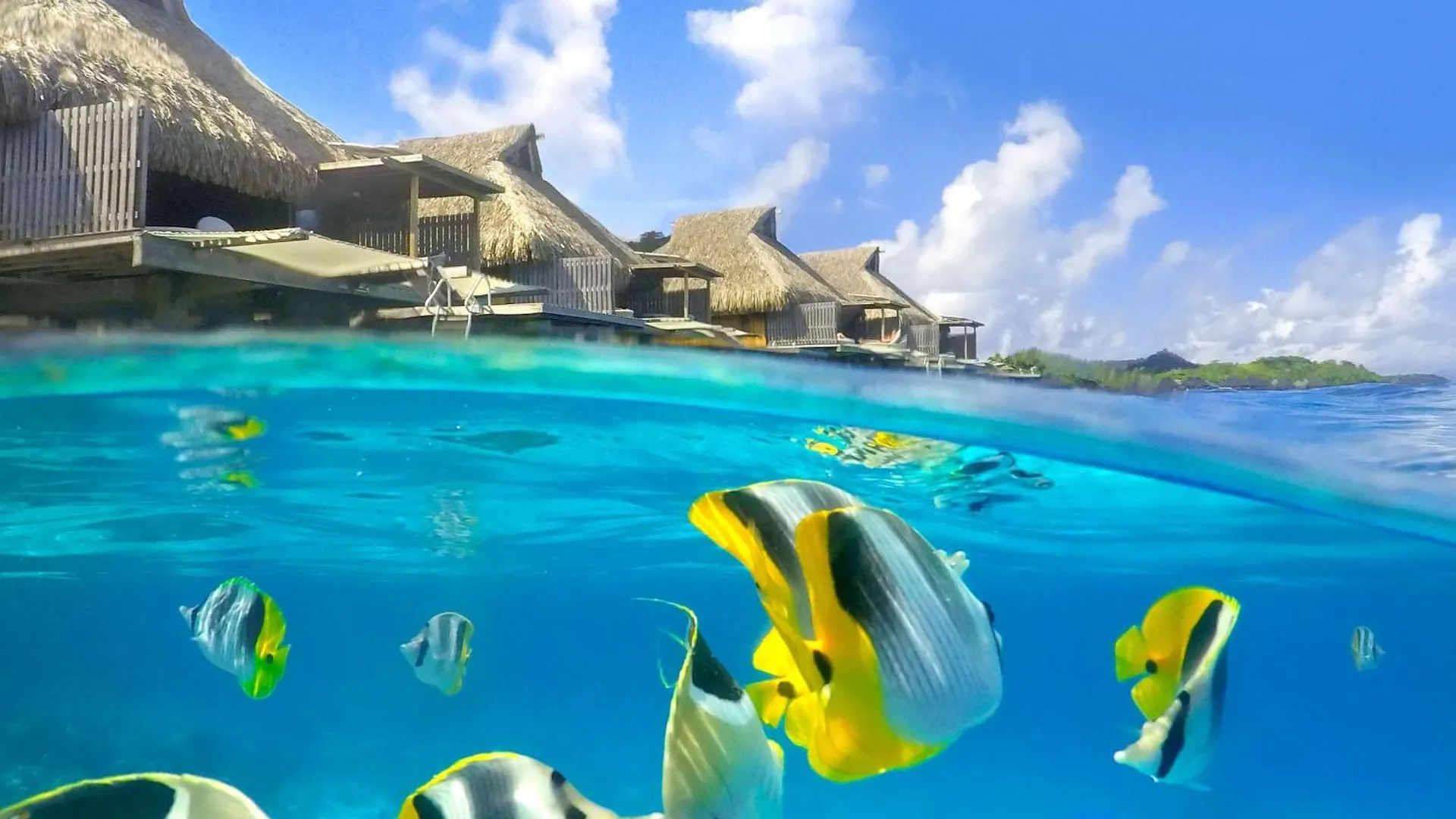 Conrad Bora Bora Nui Hotel Resort